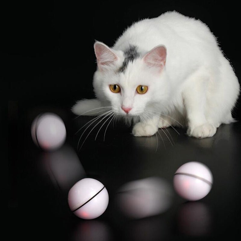 Cat Smart Jumping Ball USB Electric Pet Toys Magic Roller Ball Cat LED Rolling Flash Ball Automatic Rotating Toy For Pet Kids-3